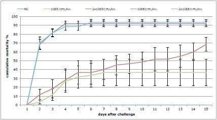 Probiotics reduce mortality and pathology in a standardised AHPND challenge model - Image 1