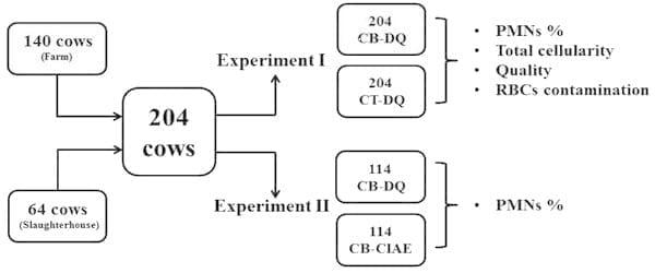 A novel cytologic sampling technique to diagnose subclinical endometritis and comparison of staining methods for endometrial cytology samples in dairy cows - Image 1