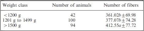 Differences in muscle characteristics of piglets related to the sow parity - Image 5