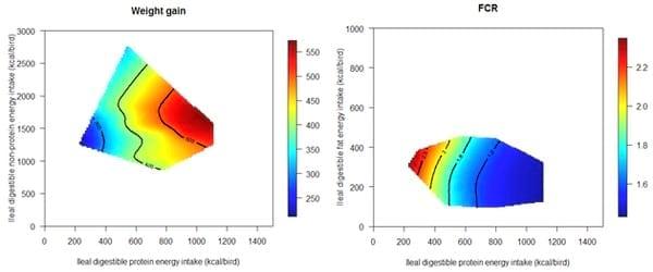 The Euclidian Pathway to more Instructive Broiler Bioassays: Nutritional Geometry - Image 9