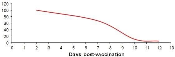 Fowl Typhoid in Laying Hens: Description of the disease and Protection Conferred by a Live Salmonella Enteritidis Vaccine - Image 2