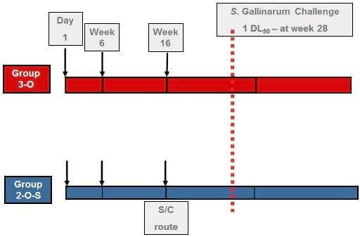 Fowl Typhoid in Laying Hens: Description of the disease and Protection Conferred by a Live Salmonella Enteritidis Vaccine - Image 1