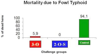 Fowl Typhoid in Laying Hens: Description of the disease and Protection Conferred by a Live Salmonella Enteritidis Vaccine - Image 3