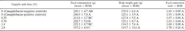 Therapeutic Supplementation of Caprylic Acid in Feed Reduces Campylobacter jejuni Colonization in Broiler Chicks - Image 2