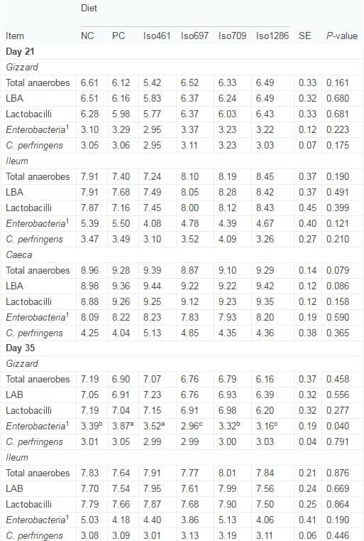 Novel probiotics: Their effects on growth performance, gut development, microbial community and activity of broiler chickens - Image 6