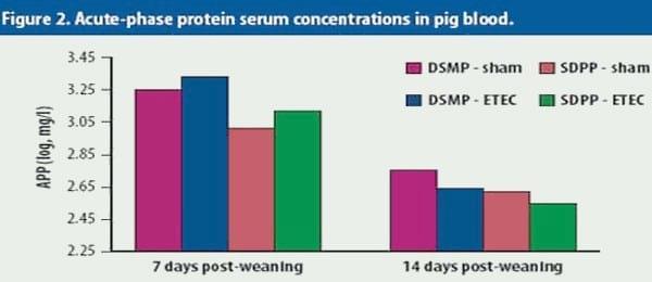 Plasma affects growth in challenging conditions - Image 5