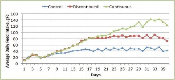 Spray-dried plasma assessed for antibiotic-free chicks - Image 4