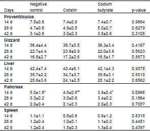 Effect of Partially Protected Sodium Butyrate on Performance, Digestive Organs, Intestinal Villi and E. coli Development in Broilers Chickens - Image 3