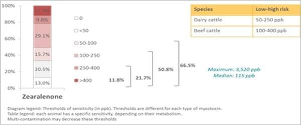 Pancosma & Associates’ 2015 survey: threat of multi-mycotoxin contamination - Image 11