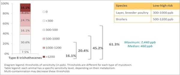 Pancosma & Associates’ 2015 survey: threat of multi-mycotoxin contamination - Image 6