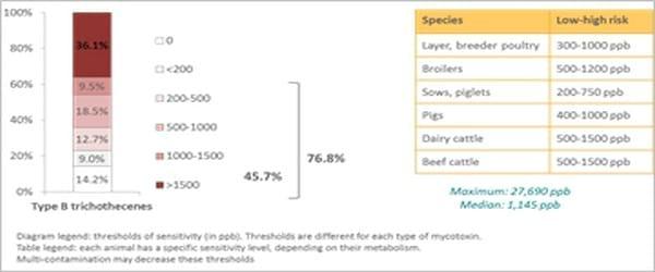 Pancosma & Associates’ 2015 survey: threat of multi-mycotoxin contamination - Image 2