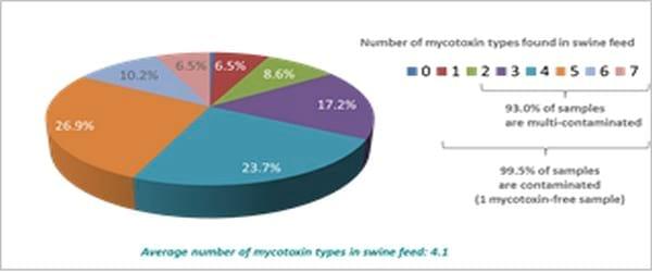 Pancosma & Associates’ 2015 survey: threat of multi-mycotoxin contamination - Image 7