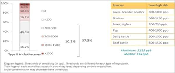 Pancosma & Associates’ 2015 survey: threat of multi-mycotoxin contamination - Image 4