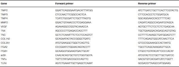 Identification of Biomarkers for Footpad Dermatitis Development and Wound Healing - Image 2