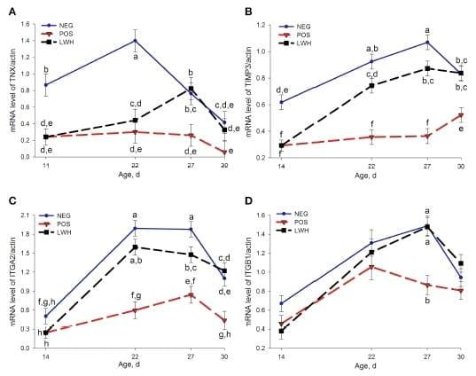 Identification of Biomarkers for Footpad Dermatitis Development and Wound Healing - Image 7