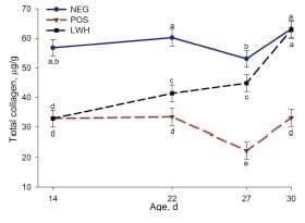 Identification of Biomarkers for Footpad Dermatitis Development and Wound Healing - Image 5