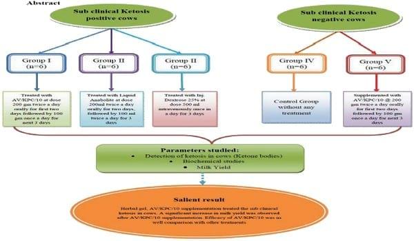 A herbal tool- AV/KPC/10 to check the sub clinical ketosis in cows - Image 1