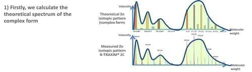 Optimize sow performance through efficient mineral supplementation - Image 2