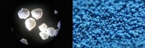 Optimize sow performance through efficient mineral supplementation - Image 5