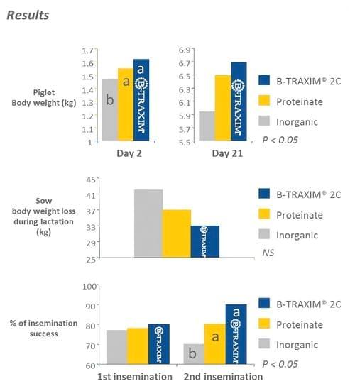 Optimize sow performance through efficient mineral supplementation - Image 10