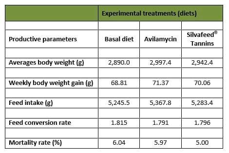 Use of Plant Extracts Rich in Tannic Acid and Polyphenols as Enhancing Agents of Poultry Intestinal Quality - Image 1