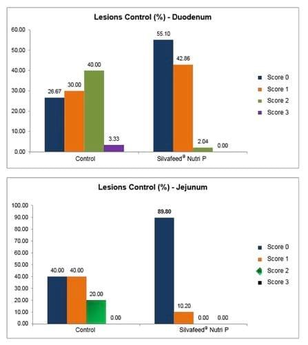 Use of Plant Extracts Rich in Tannic Acid and Polyphenols as Enhancing Agents of Poultry Intestinal Quality - Image 4