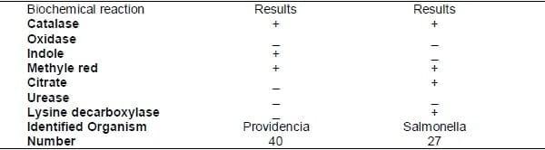 Characterization and Plasmid Profiling of Salmonella Enteritidis Isolated from Broiler Chickens - Image 2
