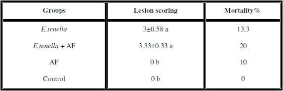 Impact of interaction between aflatoxicosis and cecal coccidiosis on broiler chickens - Image 3