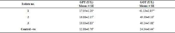 Clinical and laboratory studies on chicken Isolates of Clostridium Perfringens in El-Behera, Egypt - Image 6