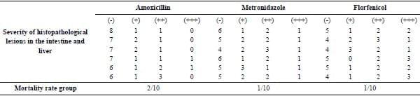 Clinical and laboratory studies on chicken Isolates of Clostridium Perfringens in El-Behera, Egypt - Image 8