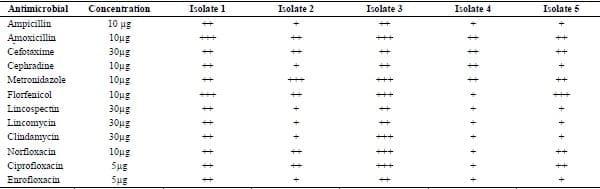 Clinical and laboratory studies on chicken Isolates of Clostridium Perfringens in El-Behera, Egypt - Image 3