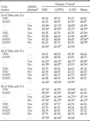 Evaluation of Normal Yellow Dent Corn and High Available Phosphorus Corn in Combination with Reduced Dietary Phosphorus and Phytase Supplementation for Broilers Grown to Market Weights in Litter Pens - Image 8