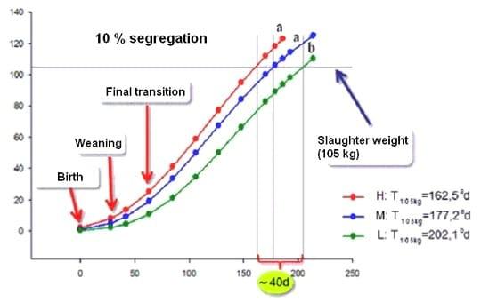 How to reduce pig weight variability? - Image 3