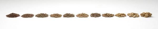 Low cost Medium Shear Extruder for pet food and aquafeed - Image 2