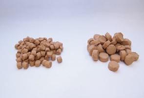 Low cost Medium Shear Extruder for pet food and aquafeed - Image 1
