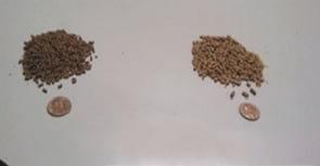 Low cost Medium Shear Extruder for pet food and aquafeed - Image 3