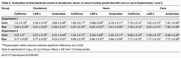 Rye Affects Bacterial Translocation, Intestinal Viscosity, Microbiota Composition and Bone Mineralization in Turkey Poults - Image 3