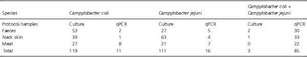 Evaluation of four protocols for the detection and isolation of thermophilic Campylobacter from different matrices - Image 7