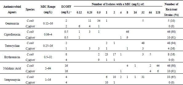 Method Comparison for Enhanced Recovery, Isolation and Qualitative Detection of C. jejuni and C. coli from Wastewater Effluent Samples - Image 3