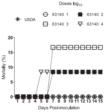 Infection of Broilers with Two Virulent Strains of Infectious Laryngotracheitis Virus: Criteria for Evaluation of Experimental Infections - Image 1