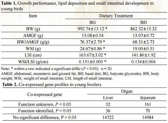 Potential of Butyrate Glycerides as an Alternative to Dietary Antibiotics: A Mechanistic Study with Broilers - Image 1