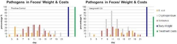  Cryptosporidiosis–Impact and Prevention - Image 2