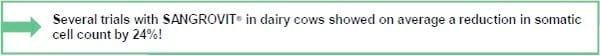 Mastitis - Image 2