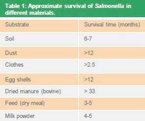 Salmonella reduction in pork production - Image 1