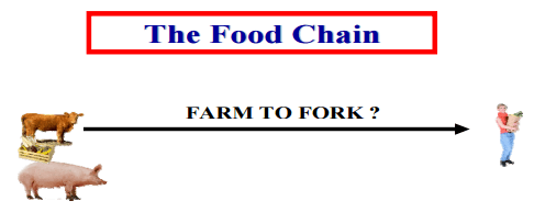 Food Safety and Supply - Present and Future Challenges - Image 4
