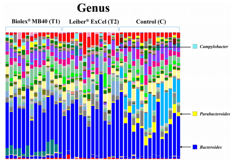 Microbial Populations in Naked Neck Chicken Ceca Raised on Pasture Flock Fed with Commercial Yeast Cell Wall Prebiotics via an Illumina MiSeq Platform - Image 7