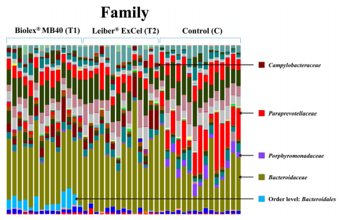 Microbial Populations in Naked Neck Chicken Ceca Raised on Pasture Flock Fed with Commercial Yeast Cell Wall Prebiotics via an Illumina MiSeq Platform - Image 6