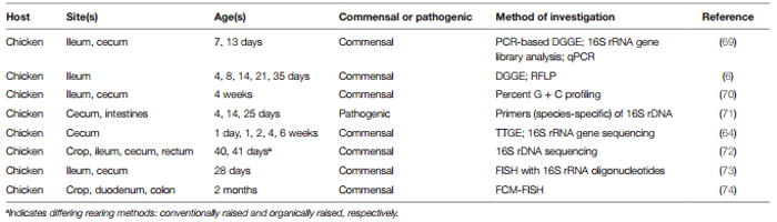 An Introduction to the Avian Gut Microbiota and the Effects of Yeast-based Prebiotic-type Compounds as Potential Feed Additives - Image 3