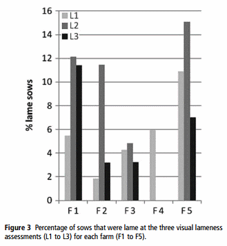 Prevalence of Lameness and Claw Lesions During Different Stages in the Reproductive Cycle of Sows and the Impact on Reproduction Results - Image 6