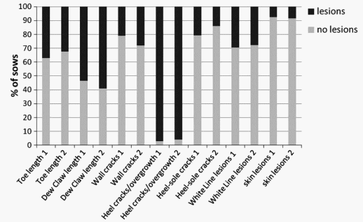 Prevalence of Lameness and Claw Lesions During Different Stages in the Reproductive Cycle of Sows and the Impact on Reproduction Results - Image 5
